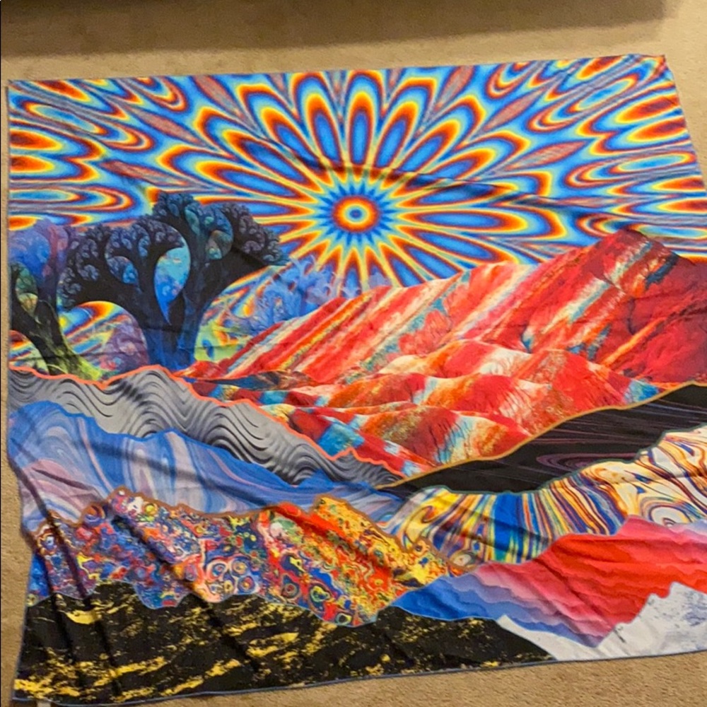 Wall Hanging tapestry